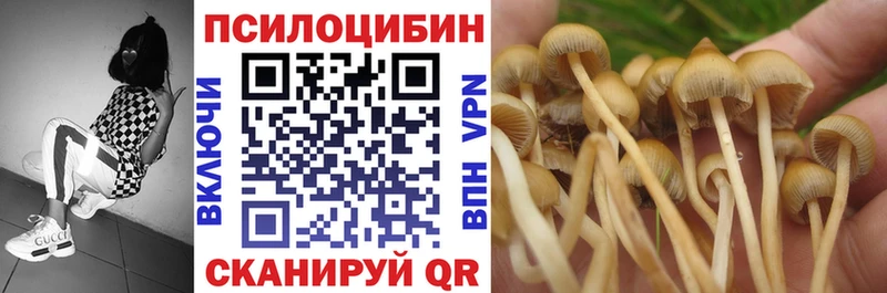 Псилоцибиновые грибы мицелий  Адыгейск 